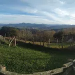 Iturritxo Landetxea *