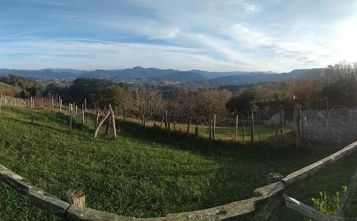 Iturritxo Landetxea *